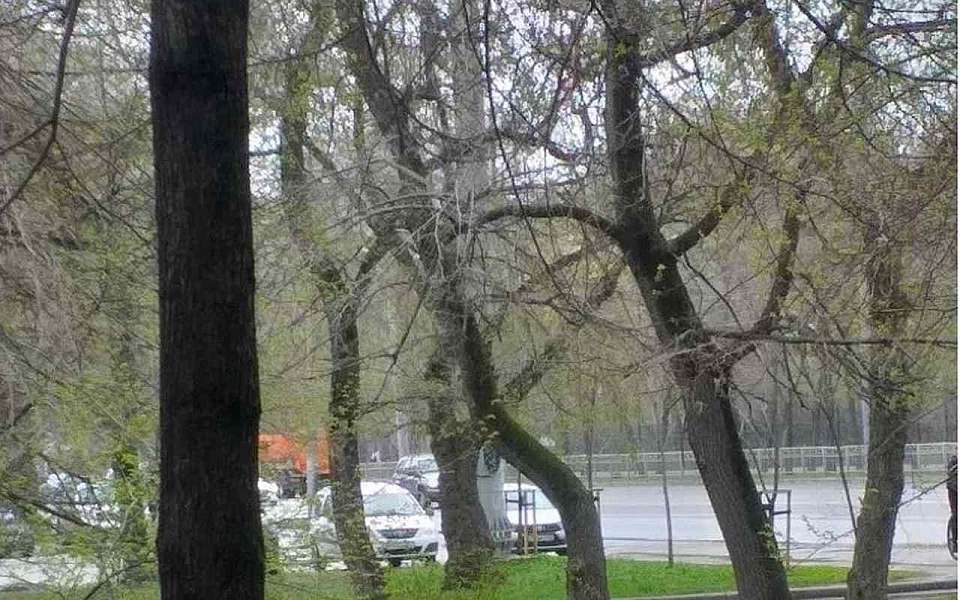 Снег пошел 27 апреля в Воронеже