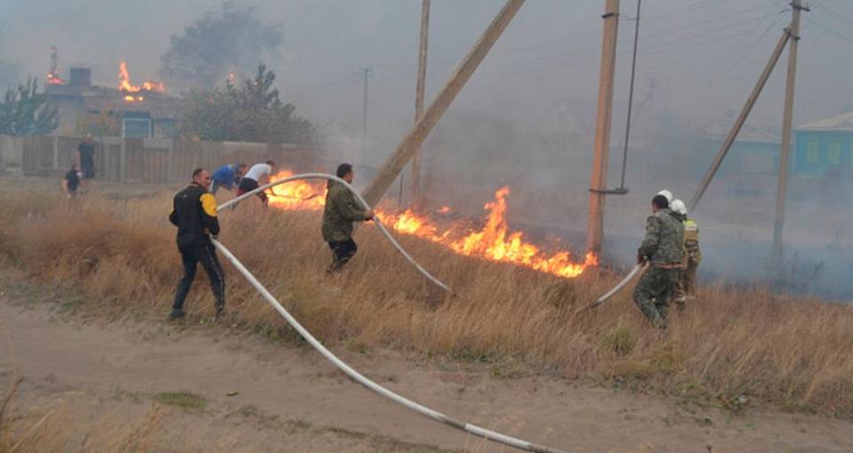 Жители Воронежской области за один день 12 апреля устроили 141 ландшафтный пожар