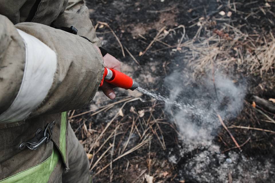 Площадь пожаров в трех районах Воронежской области приблизилась к 300 га