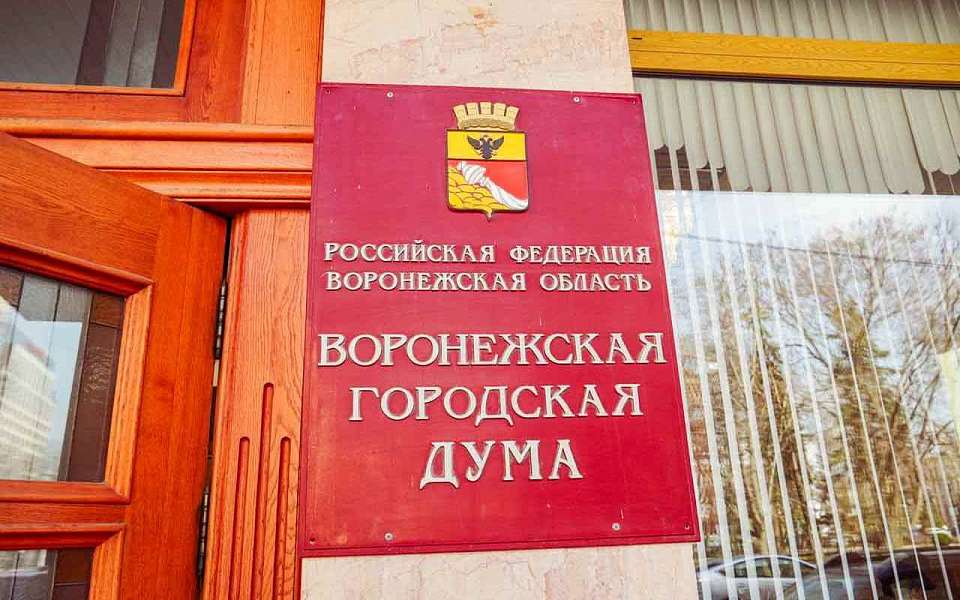 Пять партий проходят в Воронежскую городскую думу