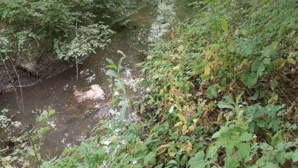 За ущерб почвам в селе Терновка воронежский предприниматель возместит 5,65 млн