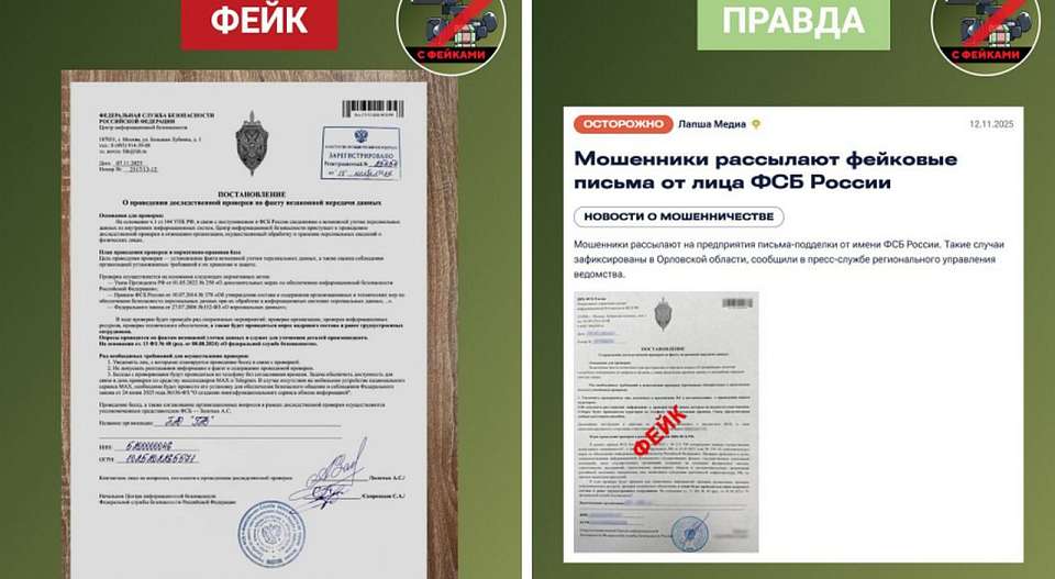 Жертвами фейка с проверкой от ФСБ стали воронежские организации