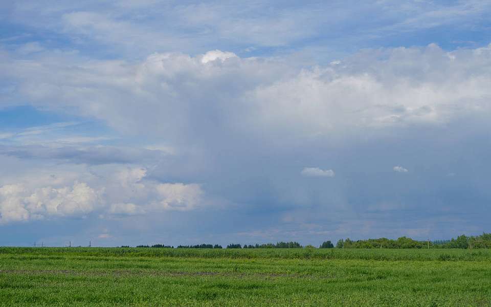 Режим ЧС ввели в двух районах Воронежской области