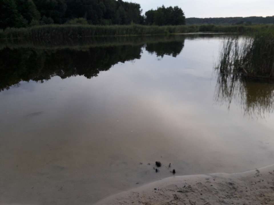 В водоёмах Воронежской области утонули уже свыше 50 человек