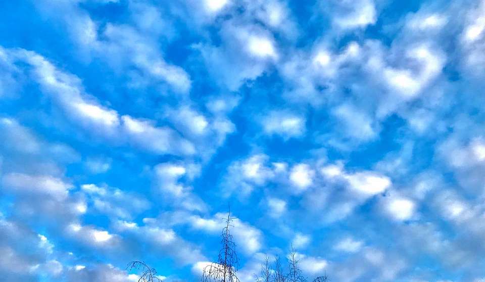 Отбой воздушной тревоги передали для Бутурлиновского района Воронежской области