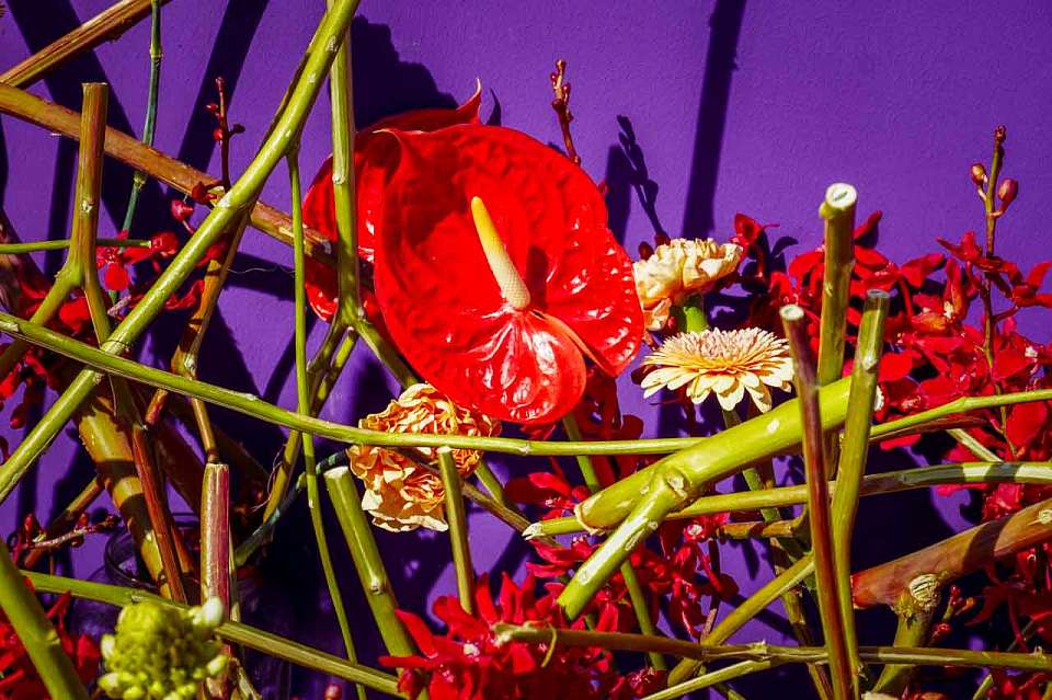 «Золото» конкурса флористов на воронежском фестивале «Город-сад» взяла дизайнер из Краснодара 